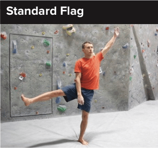 1. Standard Flag