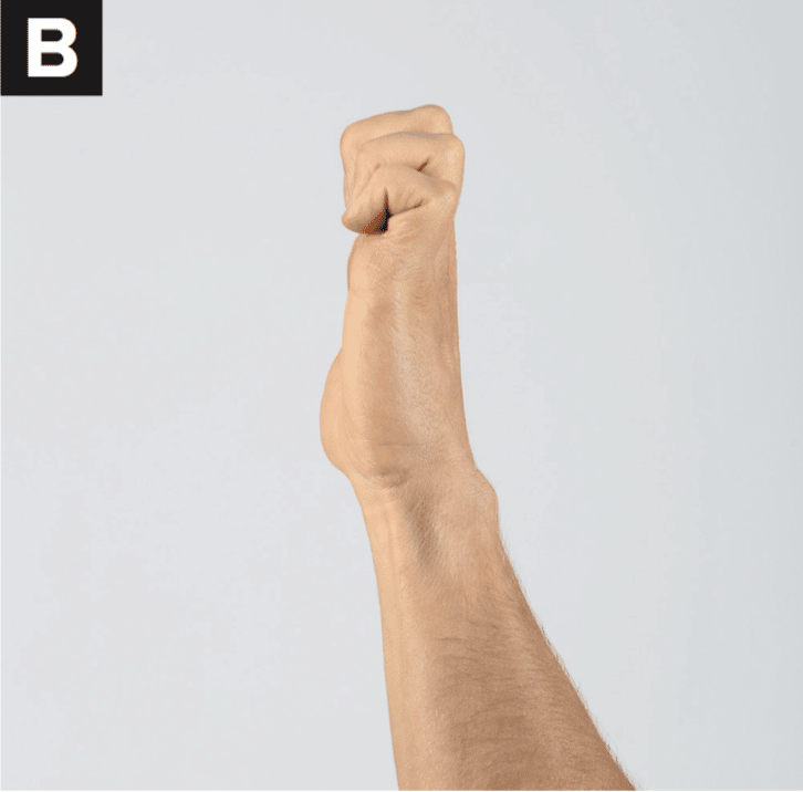 Finger tendon glides B