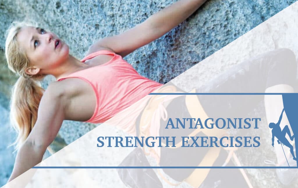 Rock Climbing Injury Tips: Antagonist Strength Exercises - The Climbing ...