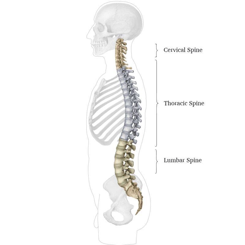 Rock Climbing Injury Tips: Spine Stretching - The Climbing Doctor