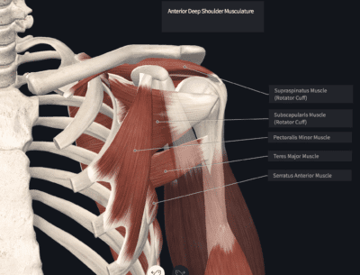 Clunk: Shoulder Instability Climbing - The Climbing Doctor