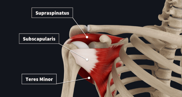 The Importance of Scapular Strength in Climbers - The Climbing Doctor