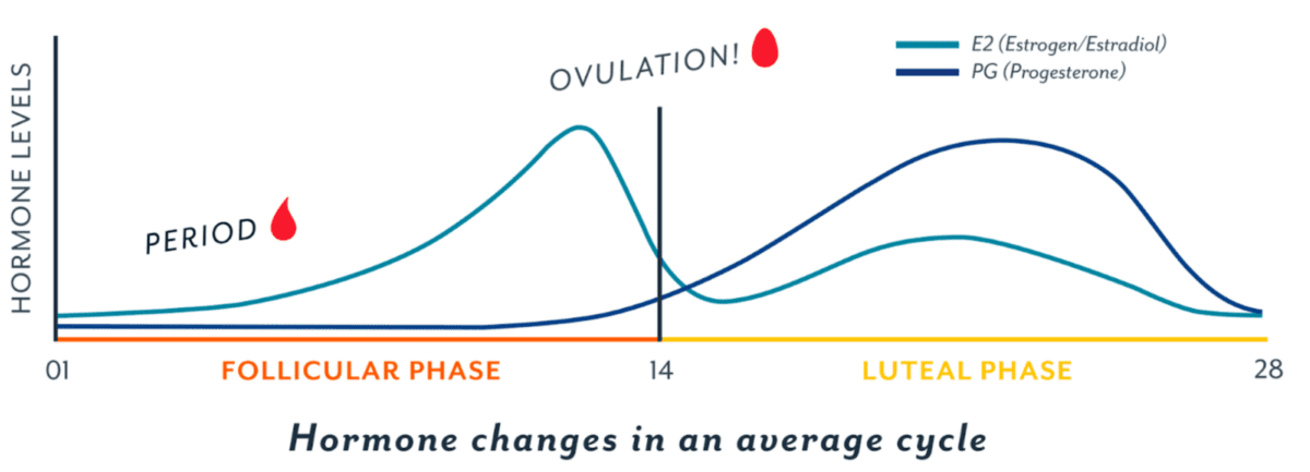 Training With Your Cycle - The Climbing Doctor